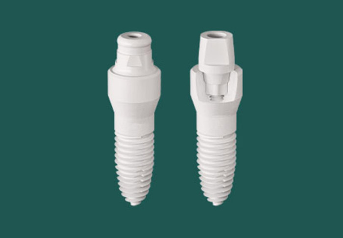 Ceramic Implants